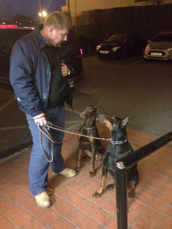 Doberman