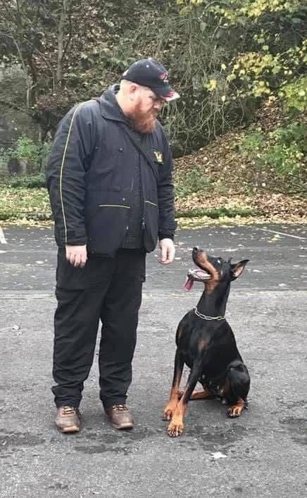 Doberman