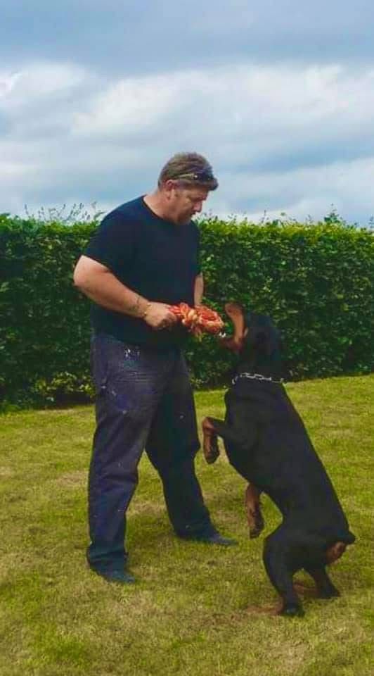 Doberman