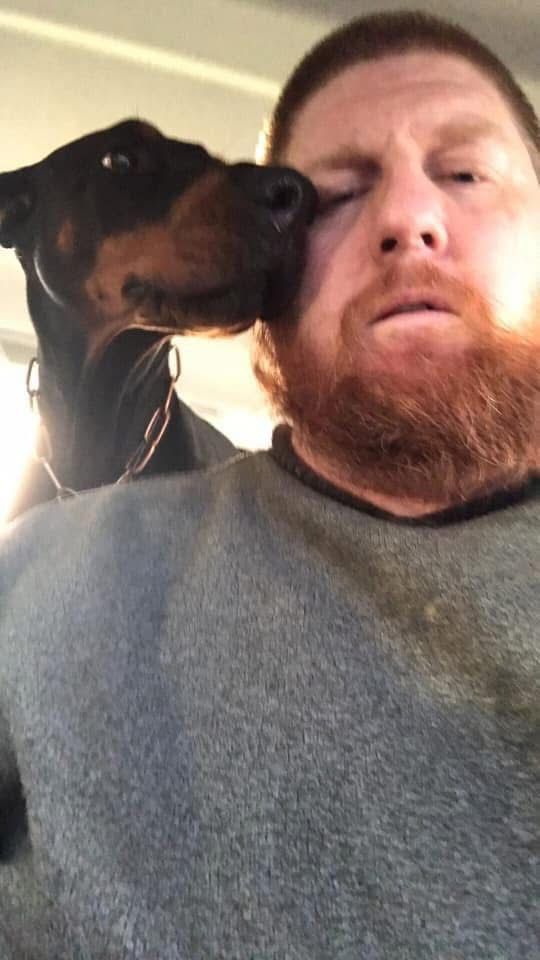 Doberman