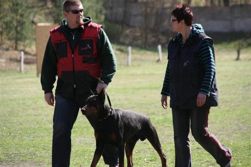 Doberman