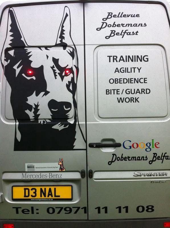 Doberman