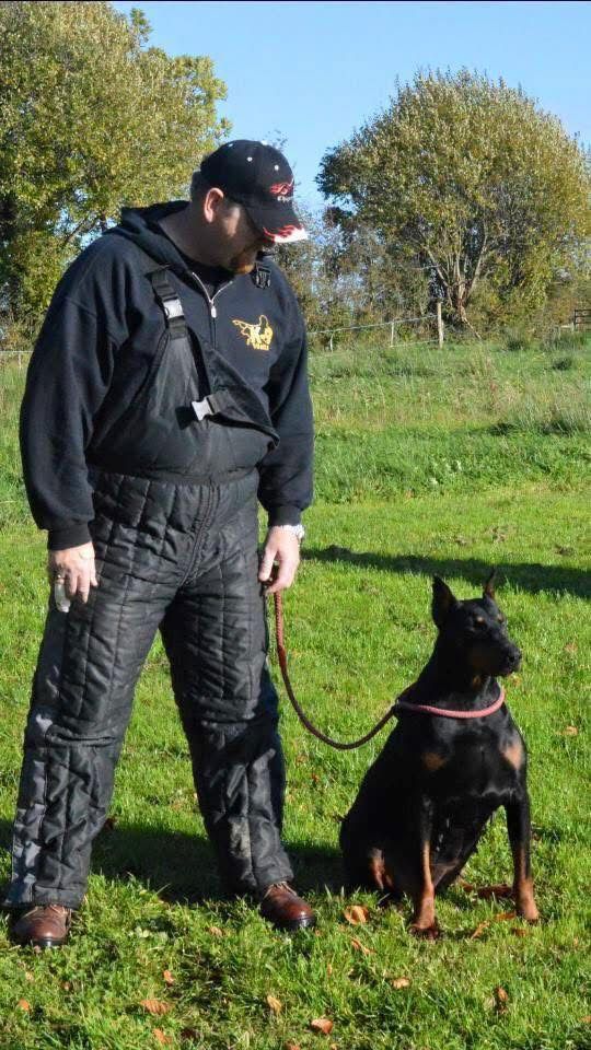 Doberman