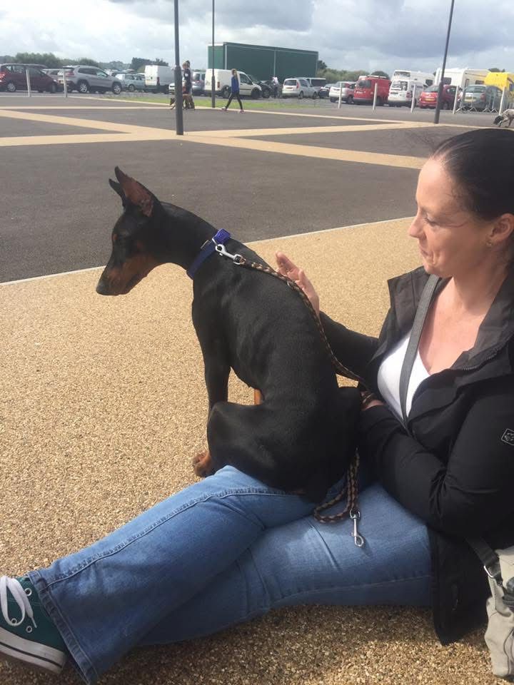 Doberman