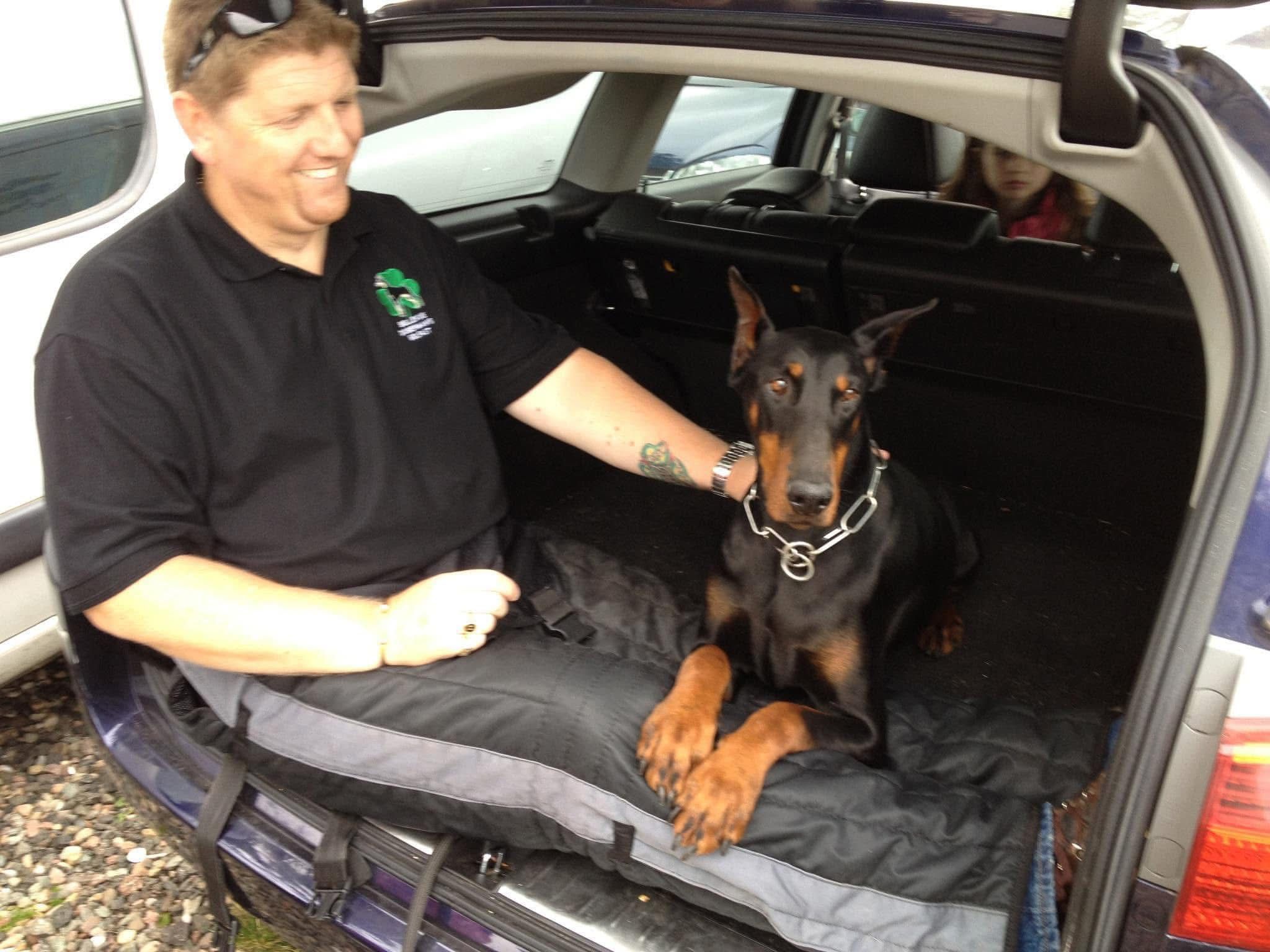 Doberman