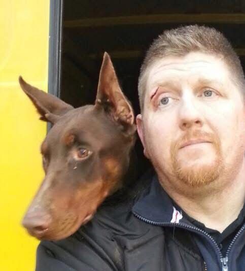 Doberman