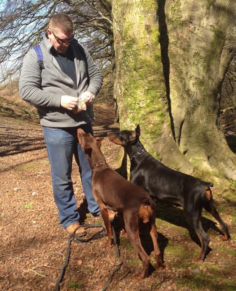 Doberman