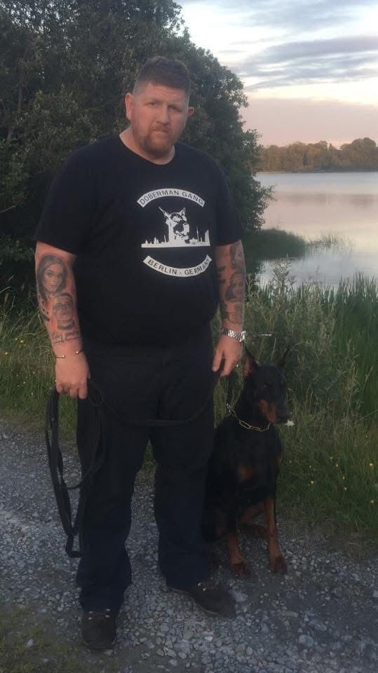 Doberman photo 18