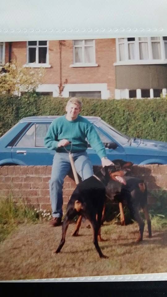 Doberman photo 24