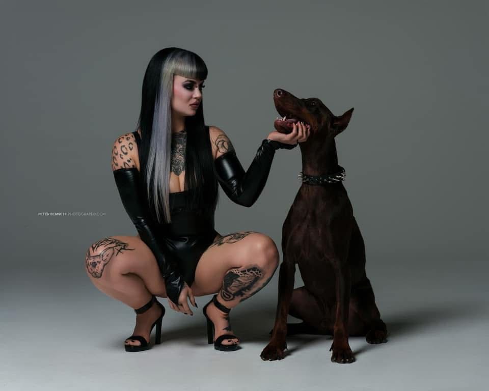 Doberman photo 28
