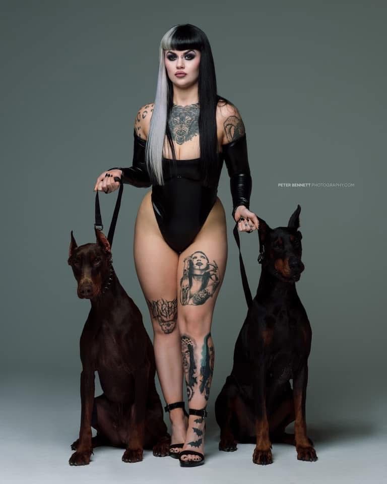 Doberman photo 29