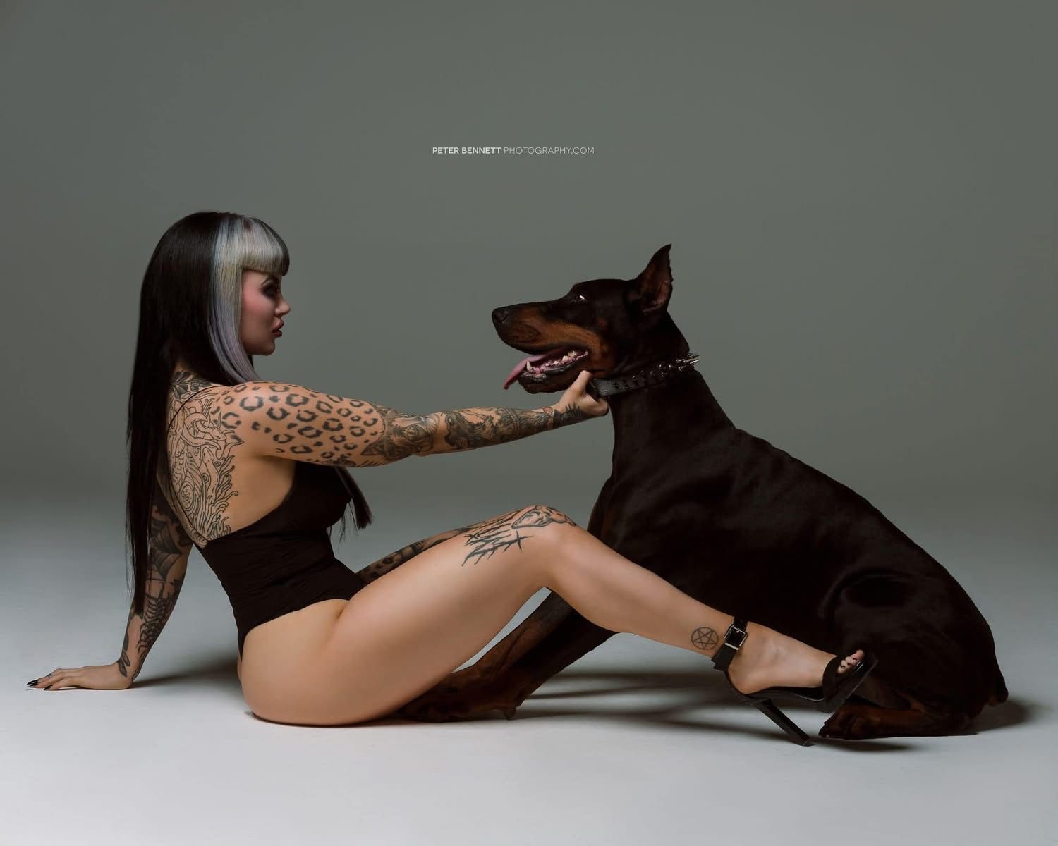 Doberman photo 30